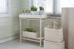 Verso Design Taimi Plant Tray 12 Verso Design Taimi Plant Tray -FINISH DESIGN SHOP TAIMI Plant Tray f5