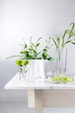 Iittala Aalto Vase 251 Mm, Clear -FINISH DESIGN SHOP alvar aalto collection 2014 1 1