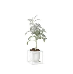 By Lassen Kubus Flowerpot 10, White -FINISH DESIGN SHOP byLassen Kubus Flowerpot 10 white plant 300
