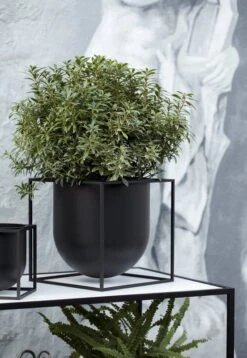 By Lassen Kubus Flowerpot 14, Black 13 By Lassen Kubus Flowerpot 14, Black -FINISH DESIGN SHOP byLassen Kubus Flowerpot 23 4 300