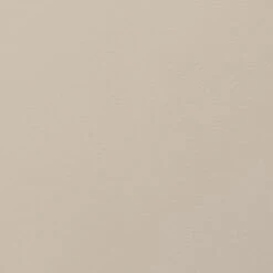 Cover Story Paint Sample, 020 FRANZ - Greige -FINISH DESIGN SHOP cover story 020 FRANZ paint EE 2