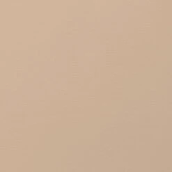 Cover Story Paint Sample, 021 SIRI - Rose Beige -FINISH DESIGN SHOP cover story 021 SIRI paint EE
