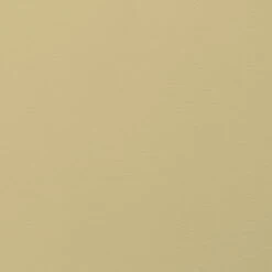 Cover Story Interior Paint, 9 L, 030 VIRGINIA - Straw Green -FINISH DESIGN SHOP cover story 030 VIRGINIA paint EE