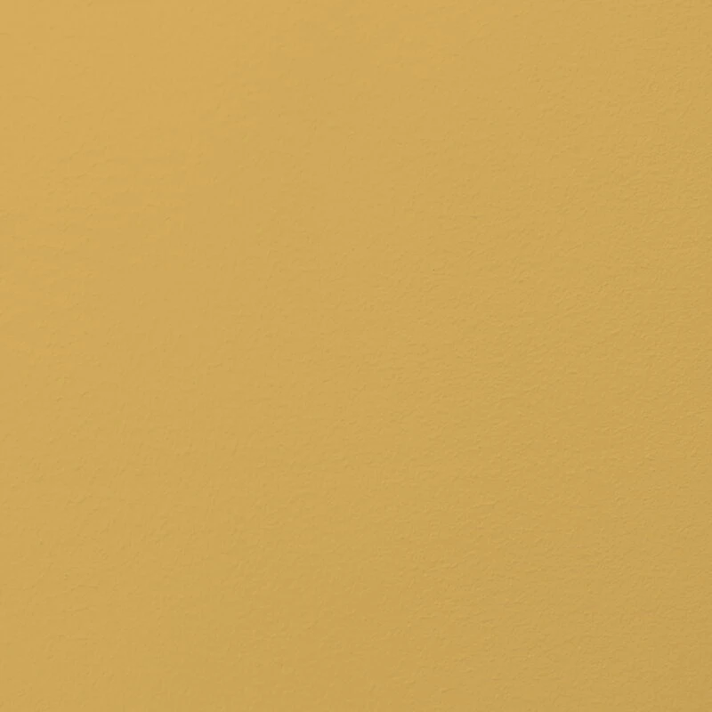 Cover Story Paint Sample, 032 KAREN - Mustard 4 Cover Story Paint Sample, 032 KAREN - Mustard - Image 2