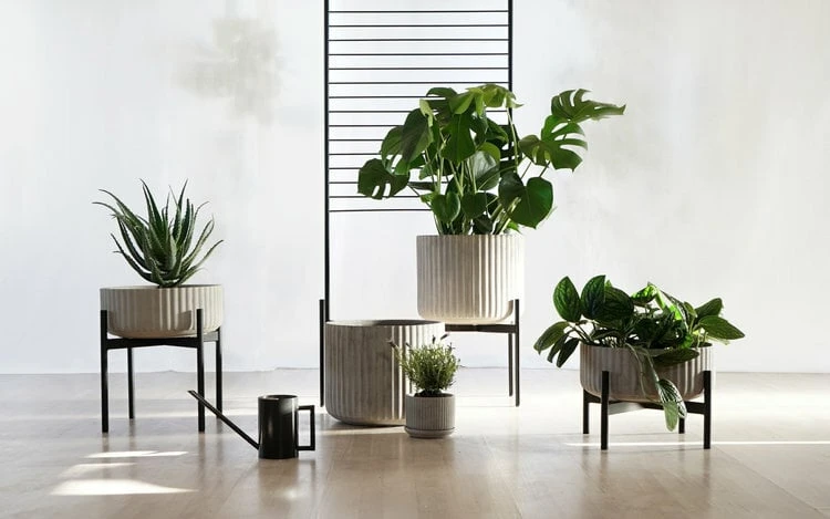 Elementa Klorofyll Planter With Stand, 2 Pcs, Medium, Grey 6 Elementa Klorofyll Planter With Stand, 2 Pcs, Medium, Grey - Image 4