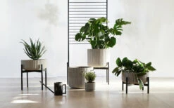 Elementa Klorofyll Planter With Stand, Low, Grey -FINISH DESIGN SHOP klorofyllanderssenvollforelementa