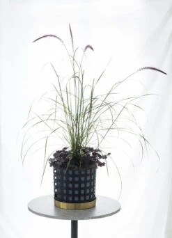 Klong Trio Flower Pot, Blue Square 13 Klong Trio Flower Pot, Blue Square -FINISH DESIGN SHOP trio pot noresize